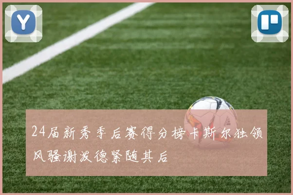 24届新秀季后赛得分榜卡斯尔独领风骚谢泼德紧随其后